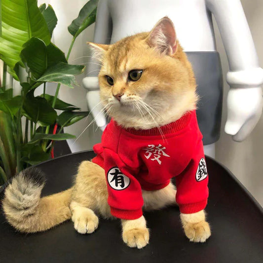 Red Hoodie Cat Clothes