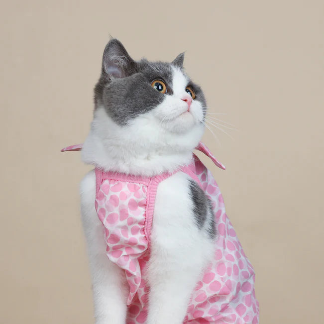 Cat Clothing Summer Dot Dresses