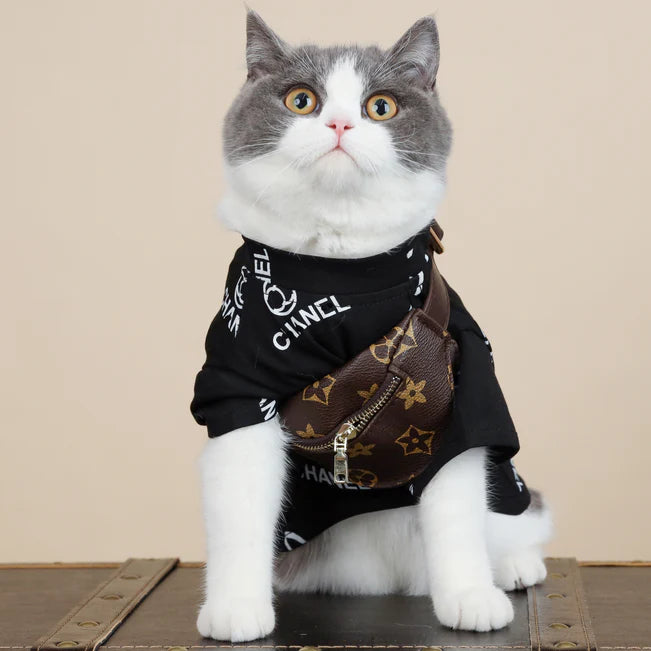 Comfortable Kitty Appreal Cute Cat Shirt
