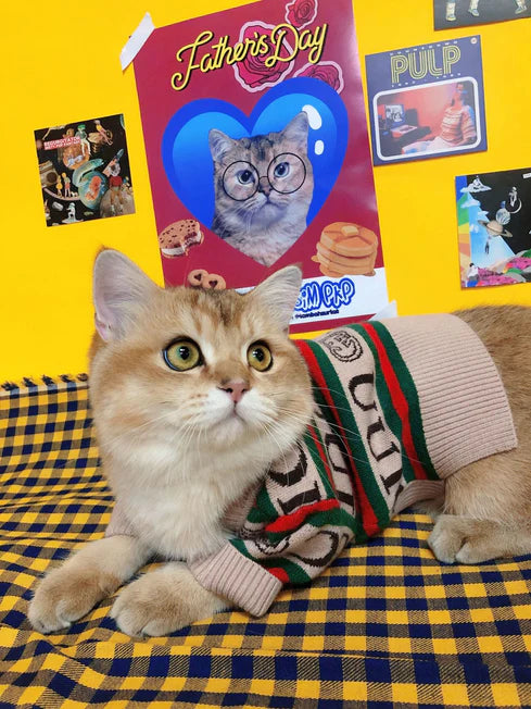 Winter Cat Clothes Sweater for Kitten