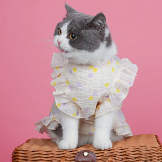 Cat Sweet Love Dress Photo Apparel