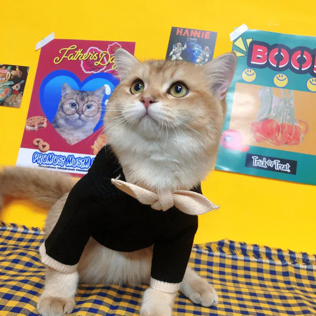 Super Cute Cat Shirt for All Seasons