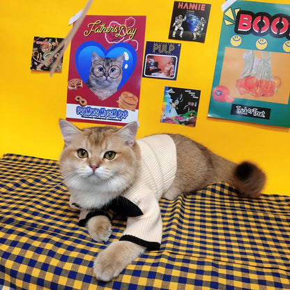 Super Cute Cat Shirt for All Seasons