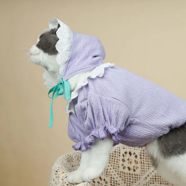 Cute Prevent Hair Dress for Cat