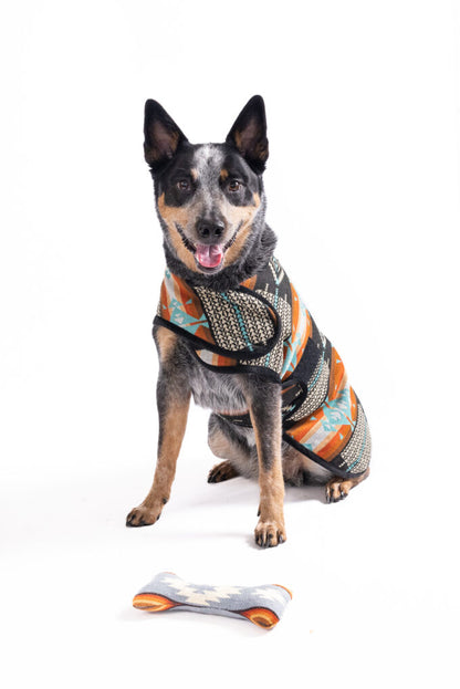 Black Canyon Dog Blanket Coat