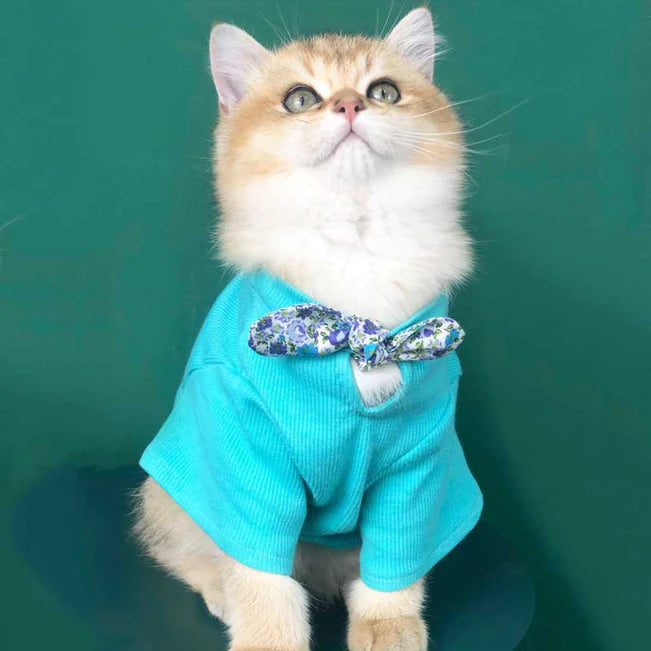 Cat Cute Basic Summer Kitten Shirts