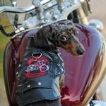 Biker Dawg Motorcycle Dog Jacket - Black
