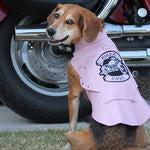 Biker Dawg Motorcycle Dog Jacket - Pink