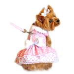 Polka Dot and Lace Dog Dress Set with Leash - Pink